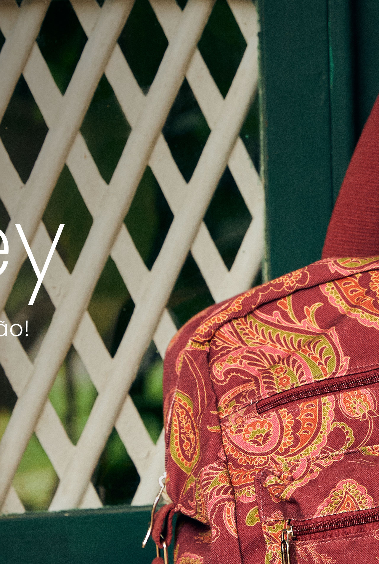 Estampa do inverno 26